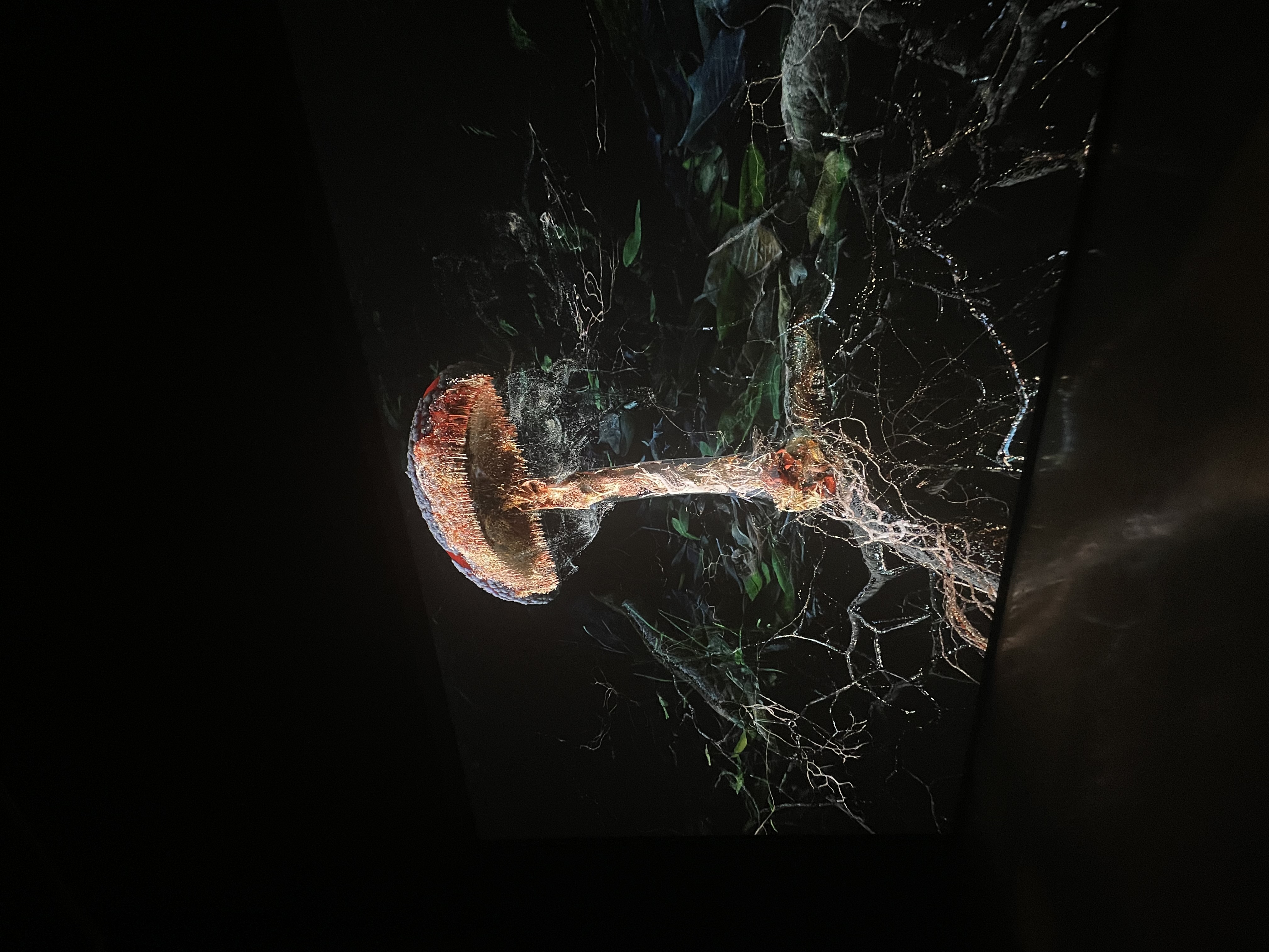 Fungi simulation