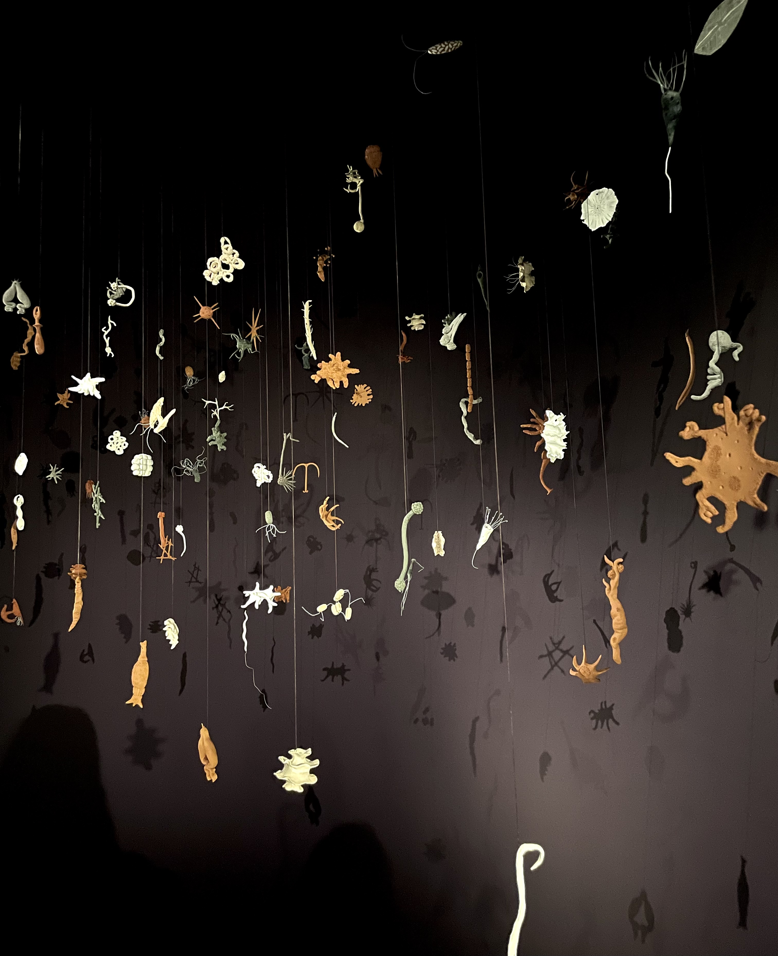 Ceramic suspended installation